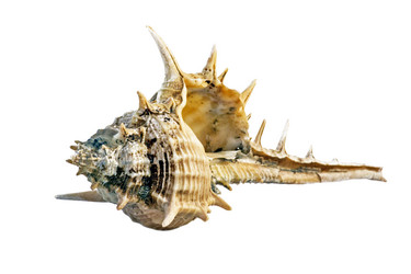 Similar image 21368330