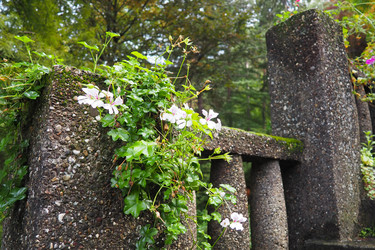 Similar image 21375348