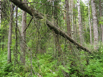 Similar image 21374968