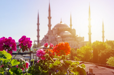 Similar image 21367549