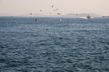 Similar image 21368341