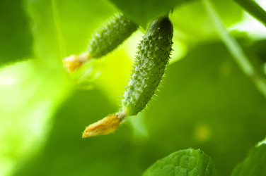 Similar image 21367331