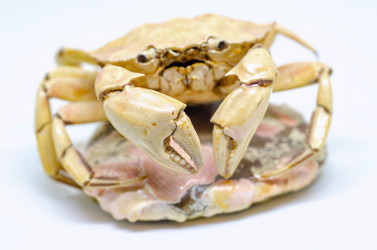 Similar image 21367388