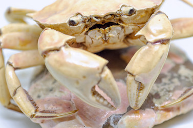 Similar image 21367389