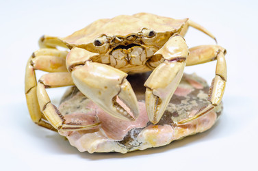 Similar image 21367390