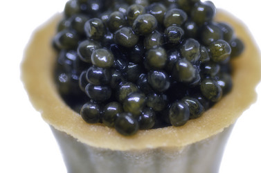 Similar image 21367773