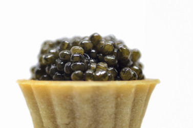 Similar image 21367776