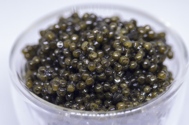 Similar image 21368362