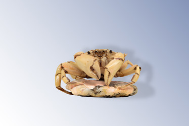 Similar image 21368678