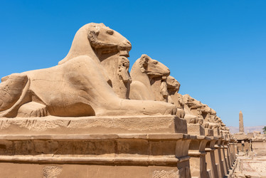 Similar image 21368073