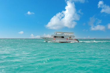 Similar image 21368365