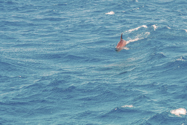 Similar image 21368681