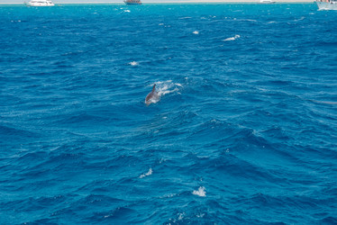 Similar image 21368683