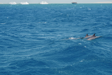 Similar image 21368854