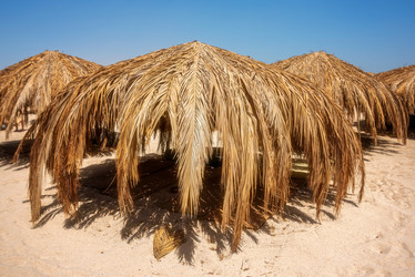 Similar image 21365676