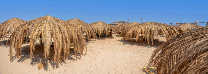 Similar image 21365680