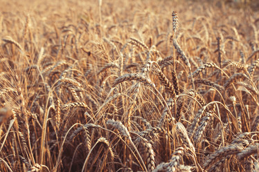 Similar image 21348308