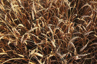 Similar image 21348309