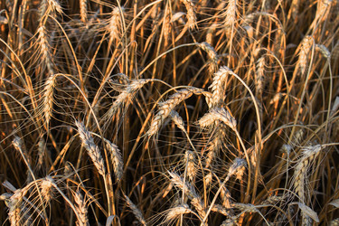 Similar image 21348310