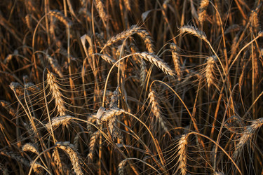 Similar image 21348311