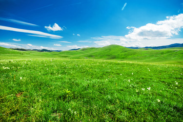 Similar image 21368075