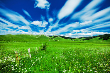 Similar image 21368383