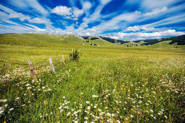 Similar image 21368385