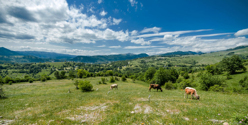 Similar image 21368694