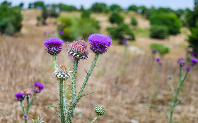 Similar image 21365683