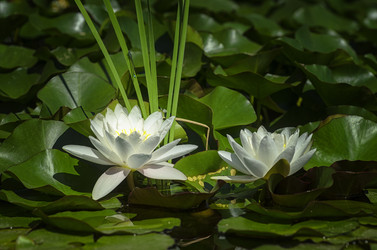 Similar image 21368092