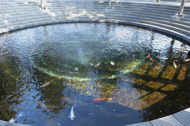 Similar image 21345011