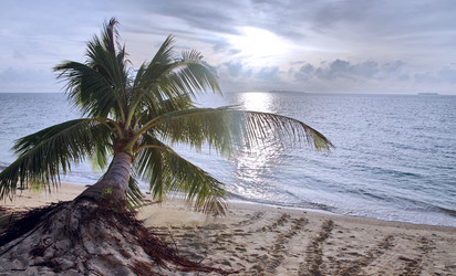 Similar image 21367408