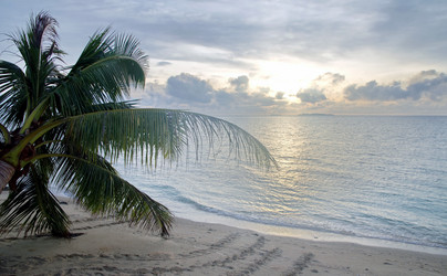 Similar image 21367580