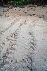 Similar image 21367582