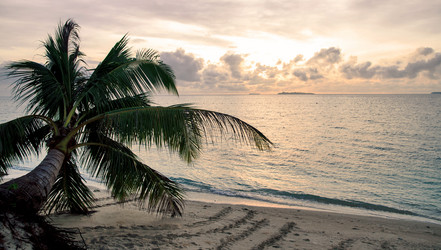 Similar image 21367584