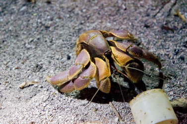 Similar image 21367586