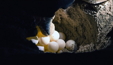 Similar image 21367823