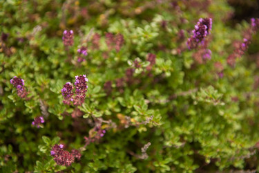 Similar image 21364520