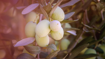 Similar image 21365701