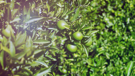 Similar image 21365702