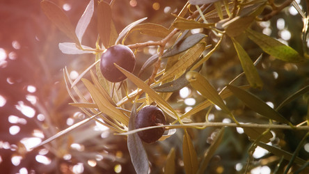 Similar image 21367416