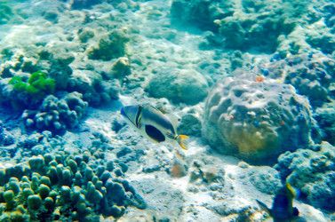 Similar image 21367420