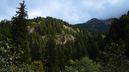 Similar image 21367828