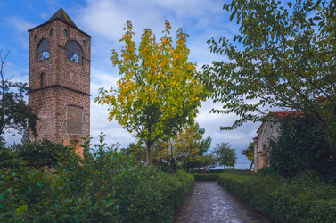 Similar image 21368412