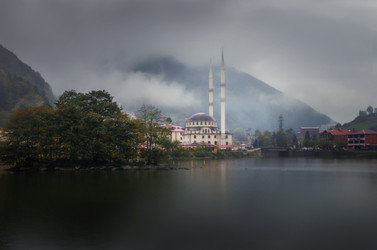 Similar image 21368708