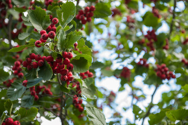 Similar image 21364521