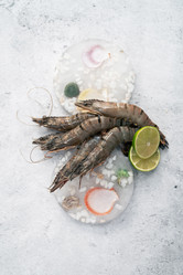 Similar image 21364544