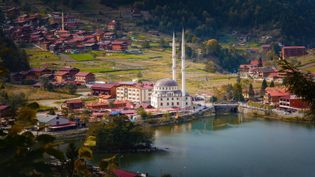 Similar image 21365706