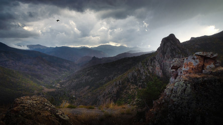 Similar image 21367599