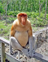 Similar image 21368115